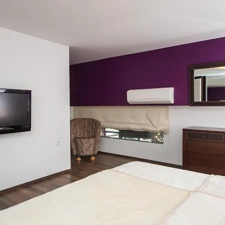 Viva La Vida Apartment